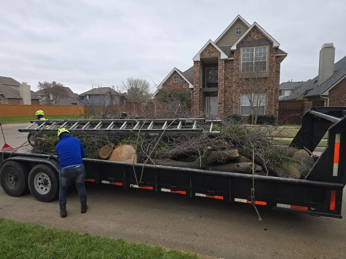 Expert Lot Clearing with proper safety equipment in Sutton